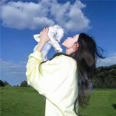 我的抗战之猎豹突击